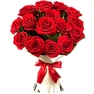 17 Red Roses Bouquet