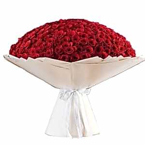 Bouquet of 365 Red Roses