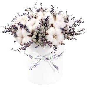 Snowing And Lavender Box