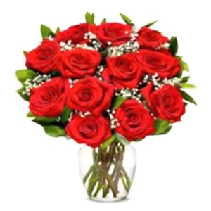 12 Red Roses Bouquet